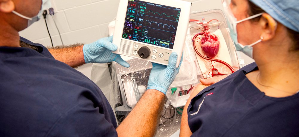 Heart patients receive transplant thanks to new Organ Care